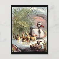 Duck Family Postcard