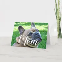 Mom Pet Photo Funny Mothers Day Cute Dog Mom Card