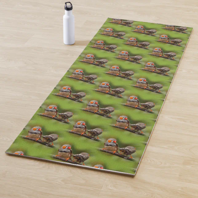 A Cheeky Pair of Zebra Finches Yoga Mat