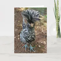 Funny Chicken Humor, Favorite Chick Polish Hen Card