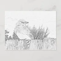 Postcard - Bird on Fence to Color