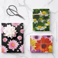 Colorful Medley of African Daisies Flowers Wrapping Paper Sheets