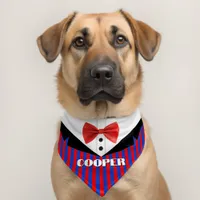 Striped Suit Pattern Name Pet Bandana Collar