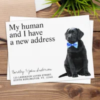Black Lab New Address Dog Moving Announcement Post Postcard