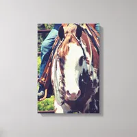 Western Paint Horse Canvas Print