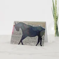 Show Off Card