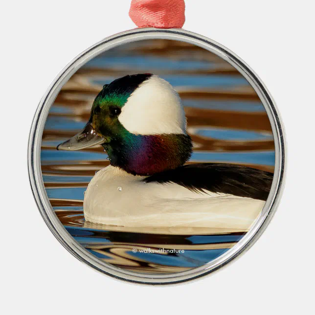 Male Bufflehead in the Afternoon Sun Metal Ornament