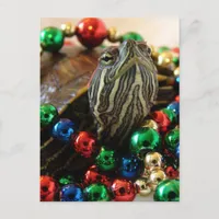 Christmas Turtle Holiday Card