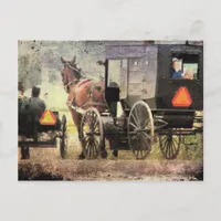 Amish Horse and Buggy Postcard