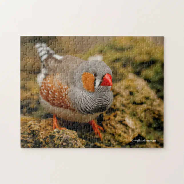 Cute Zebra Finch Songbird on the Rocks Jigsaw Puzzle