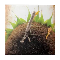 Praying For Sunshine Tile