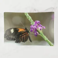 Butterfly Close-up on Verbena Flower Trinket Tray