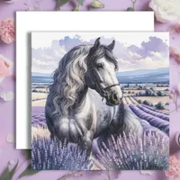 Pretty Gray Horse Standing in Lavender