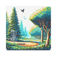 Disc Golf Pixel Art 