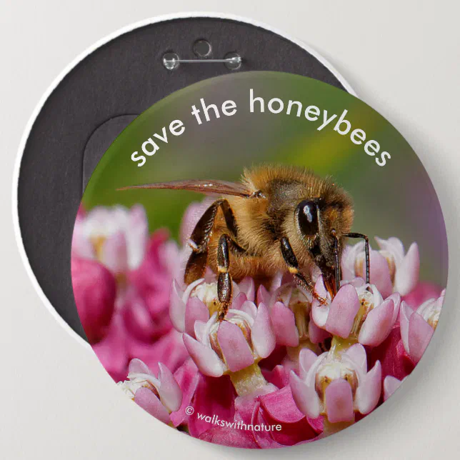 Save the Honeybees Pollinating Narrowleaf Milkweed Pinback Button