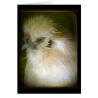 Silkie