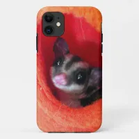 Sugar Glider in Orange Hanging Bed iPhone 11 Case