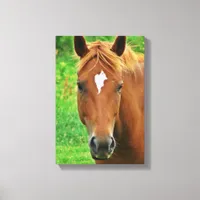 Scotch Head Shot Canvas Print