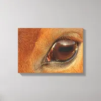 Sorrel Horse Eye Canvas Print
