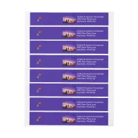 Bride & Groom in Sunset Wrap Around Address Labels