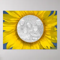 Sunflower Photo Poster