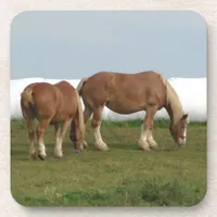 Belgians Drink Coaster