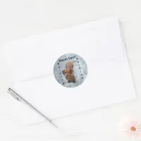 Cute Brown Dachshund Barking Machine Classic Round Sticker