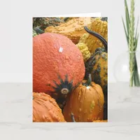 Gourds, Thanksgiving Holiday Card