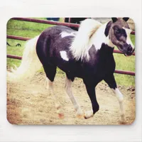 Mini Horse at Liberty Mouse Pad