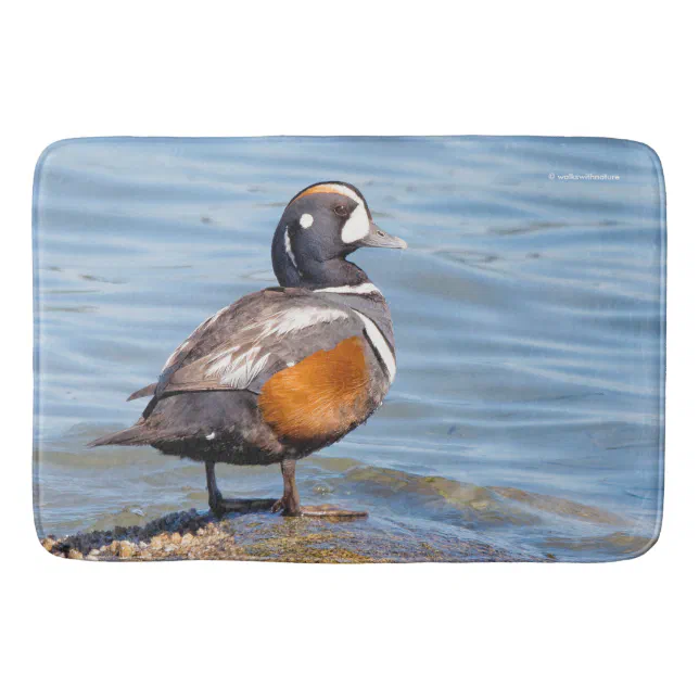 Beautiful Harlequin Duck on the Rock Bathroom Mat