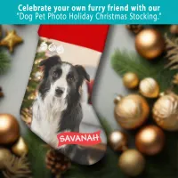 Dog Pet Photo Holiday Christmas Stocking