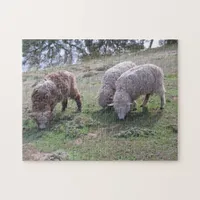 Puzzle - Three sheep