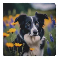 Black & White Border Collie Picture Dog Lover's Trivet