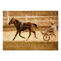 Standardbred Race Horse