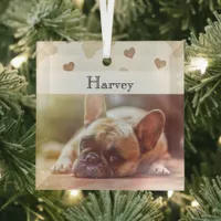 Dog Christmas Cute Personalized Pet Photo Glass Ornament