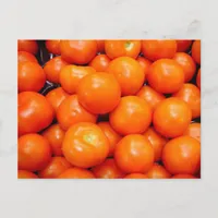 Red Tomatoes Postcard
