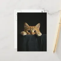 Adorable ginger kitty peeking postcard