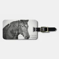Horses Behind the Fence in Black and White Luggage Tag