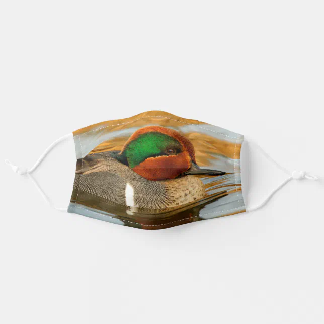 Handsome Green-Winged Teal Duck on Golden Pond Adult Cloth Face Mask