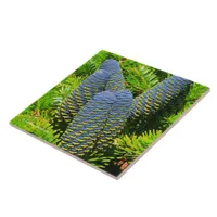 Big Blue Korean Fir Cones Ceramic Tile