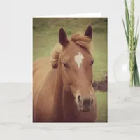 Scotch A Horse, Birthday Card