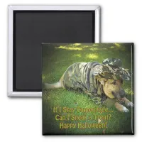 Halloween Dog in Camouflage Magnet