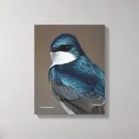 Handsome Tree Swallow: Bird on a Wire Canvas Print