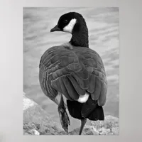Proud Goose Poster