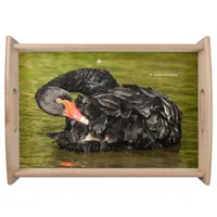 Black Swan in the Pond Serving Tray