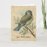 Get Well Soon, Vintage Bluetit Bird Card