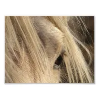 Messy Mane Day Photo Print