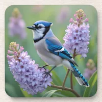 Pretty Blue Jay Standing on Lilac Branches Beverage Coaster