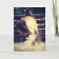 Buckskin Kicks Up Dust All Occasions  Card