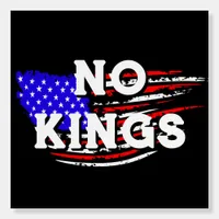  No Kings | Anti-Trump Protest Foam Board